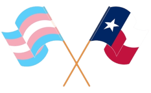 An illustration of the Texas flag with the transgender pride flag