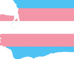 An outline of the state of Washington with the transgender flag filled in. We provide gender therapy in Washington.